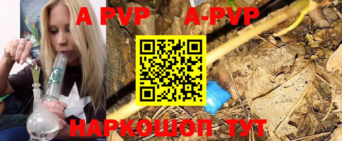Прокопьевск  Альфа ПВП СК  Альфа ПВП СК КРИС  Альфа ПВП  Вход с VPN  А ПВП СК 
